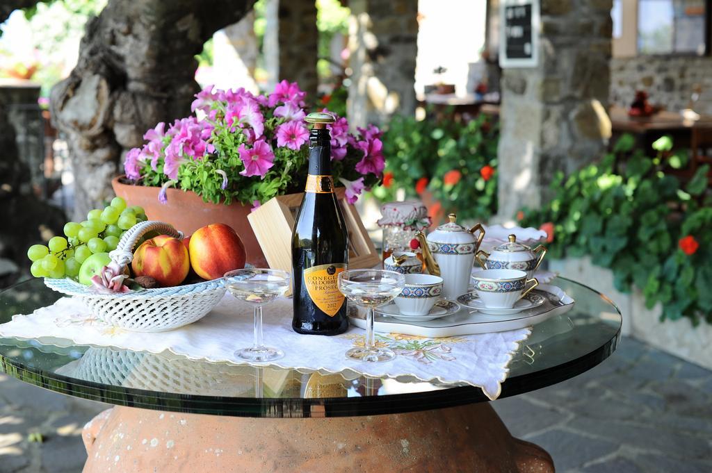 Agriturismo Borgo Mocale Castelfranco di Sopra Экстерьер фото